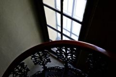 DSC_0895a