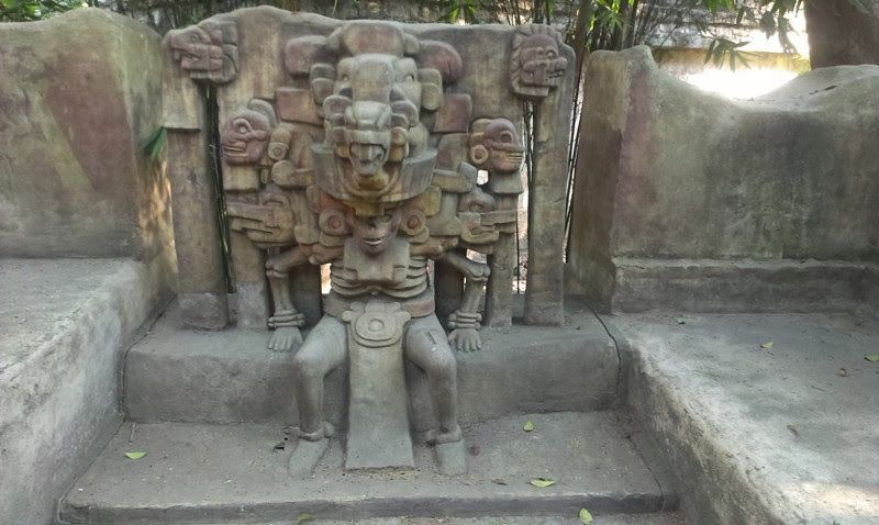 IMAG0492