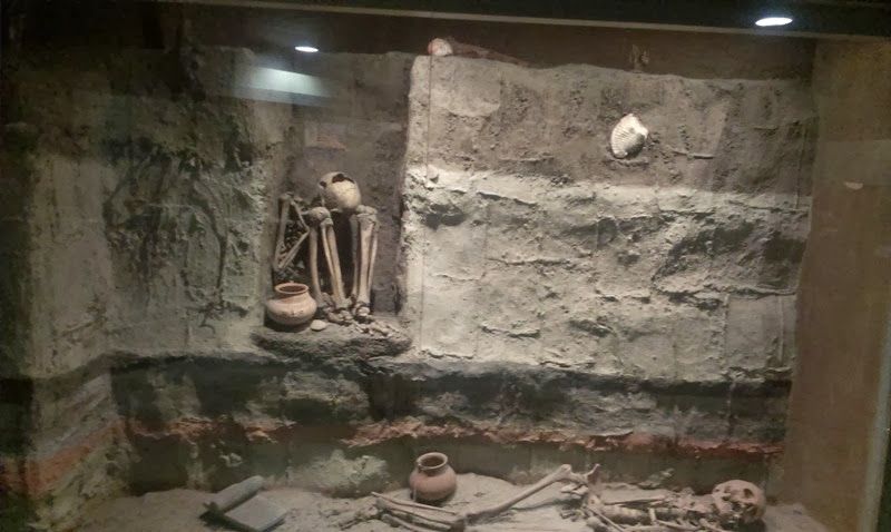 IMAG0526