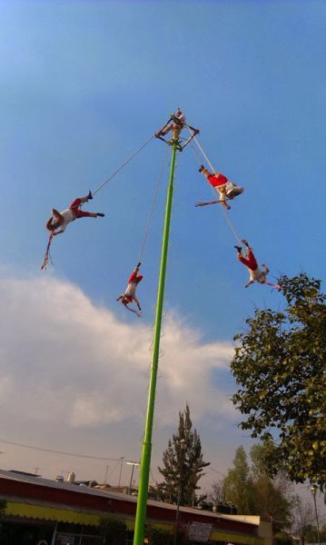 IMAG0541