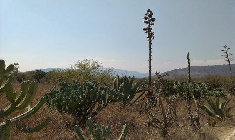 IMAG0577