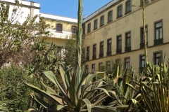 IMAG0272