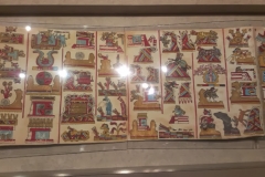 IMAG0454
