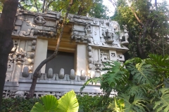 IMAG0494