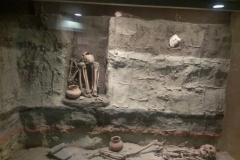 IMAG0526