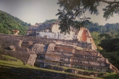 IMAG0527