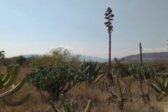 IMAG0577