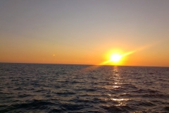 IMAG1124